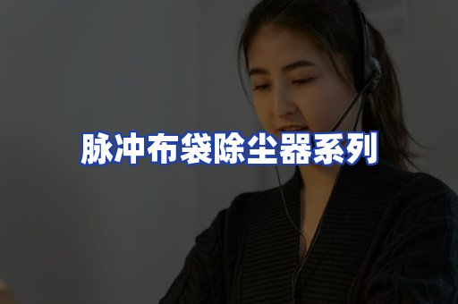 脉冲布袋除尘器系列